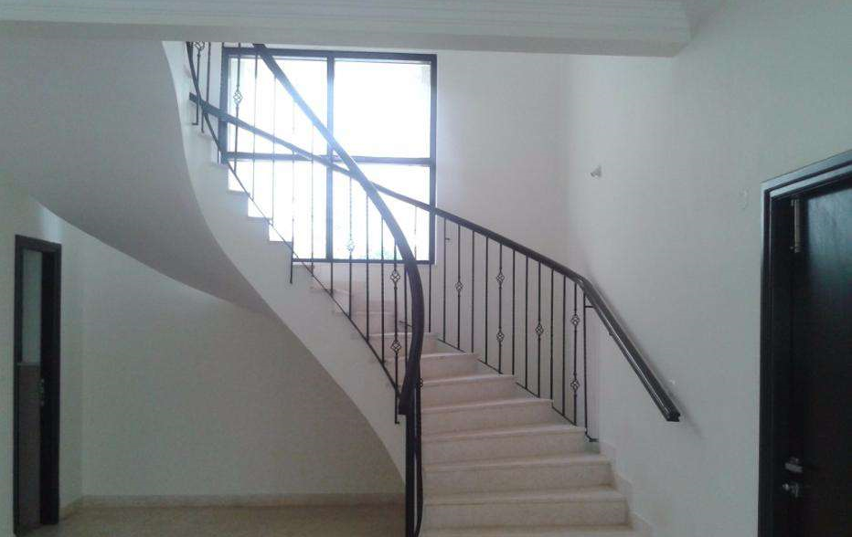 Elevation