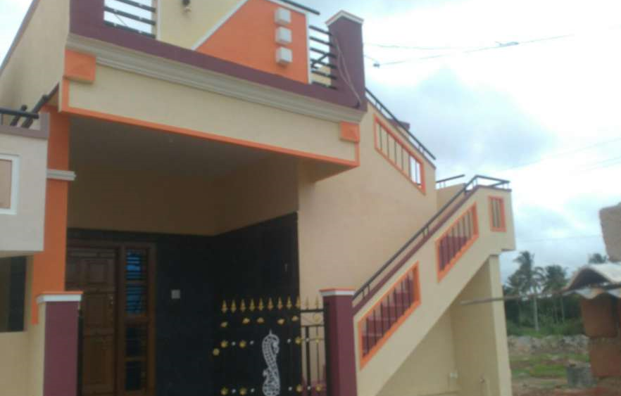 Elevation