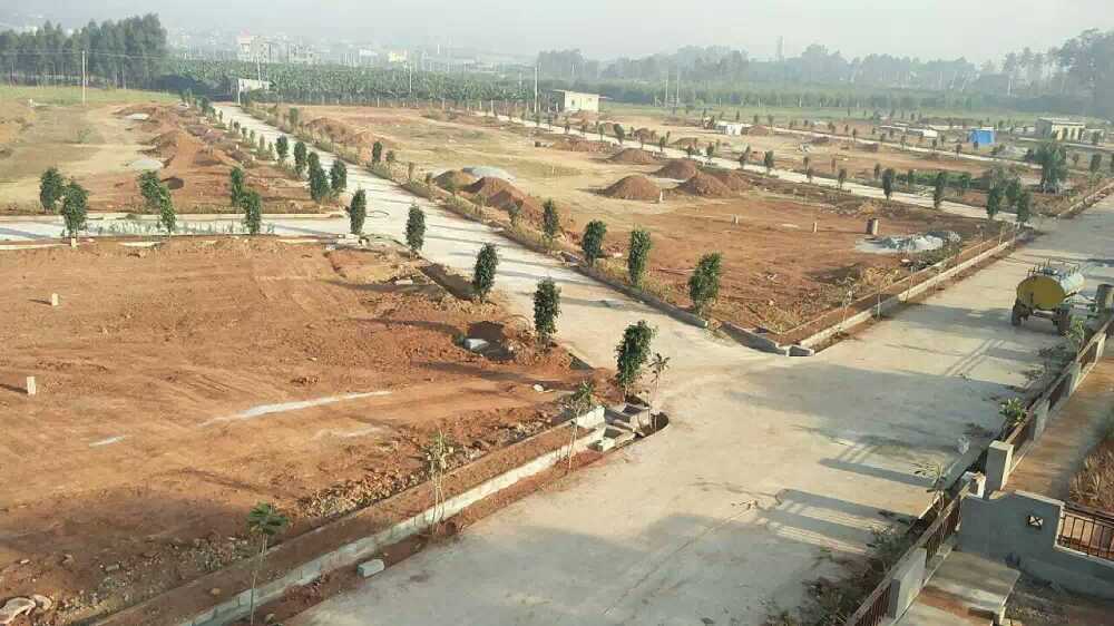 Elevation