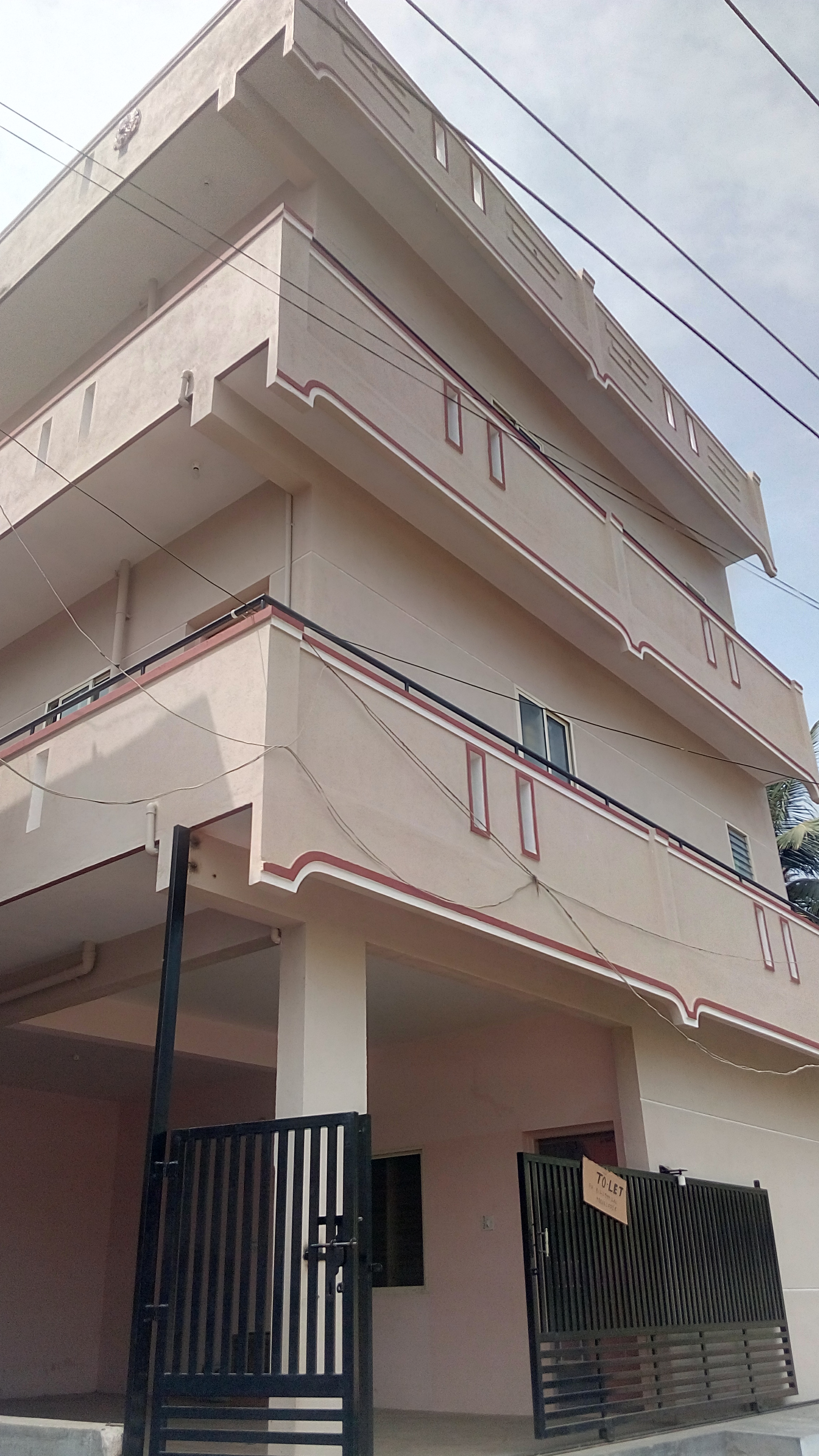 Elevation