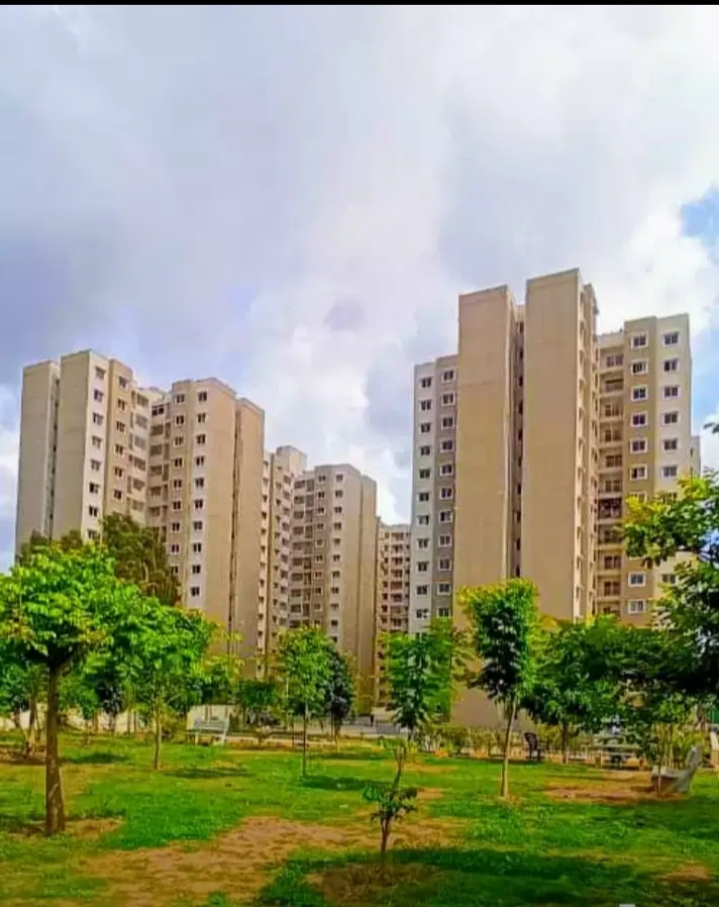 Elevation